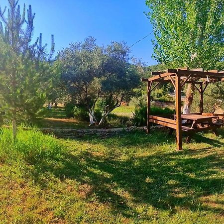 vita campıng otel Geyikbayiri Esterno foto
