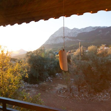 vita campıng otel Geyikbayiri Esterno foto