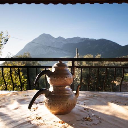 vita campıng otel Geyikbayiri Esterno foto