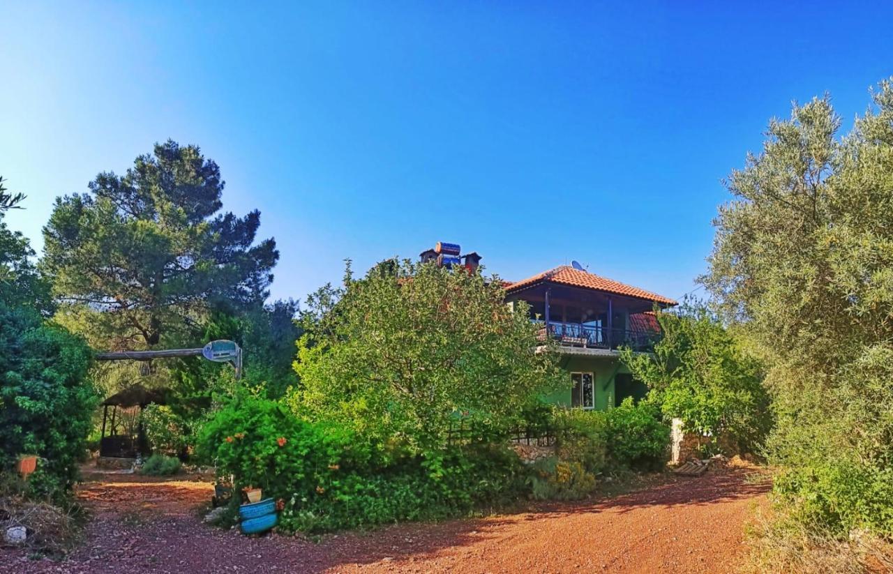 vita campıng otel Geyikbayiri Esterno foto