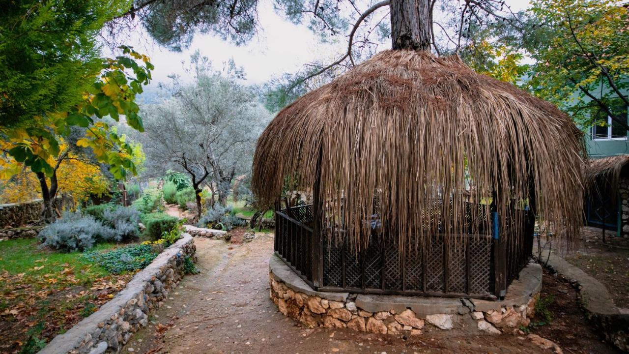 vita campıng otel Geyikbayiri Esterno foto