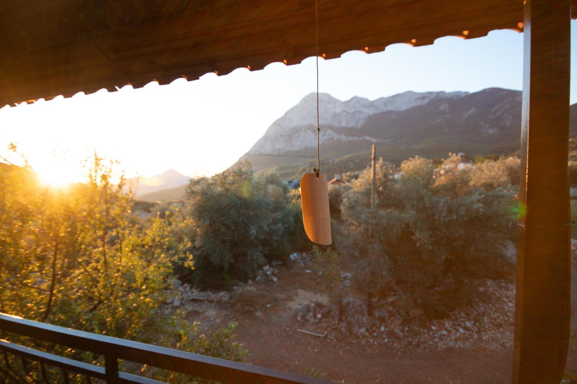 vita campıng otel Geyikbayiri Esterno foto
